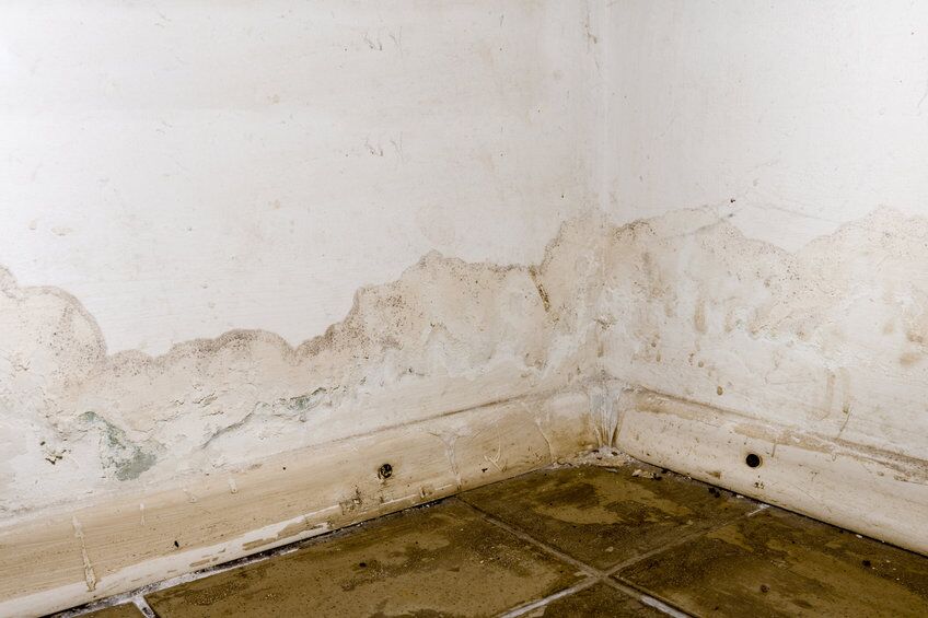 Flooding rainwater or floor heating systems, causing damage, peeling paint and mildew. Flooding rainwater or floor heating systems, causing damage, peeling paint and mildew. - image