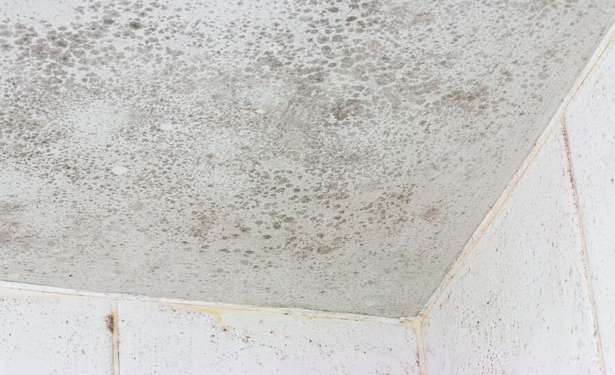 sewerrepair sewerrepair
